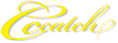 CCCatch Logo